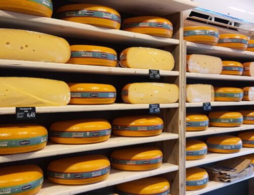 In de vroege geschiedenis werd in Nederland al kaas gemaakt
